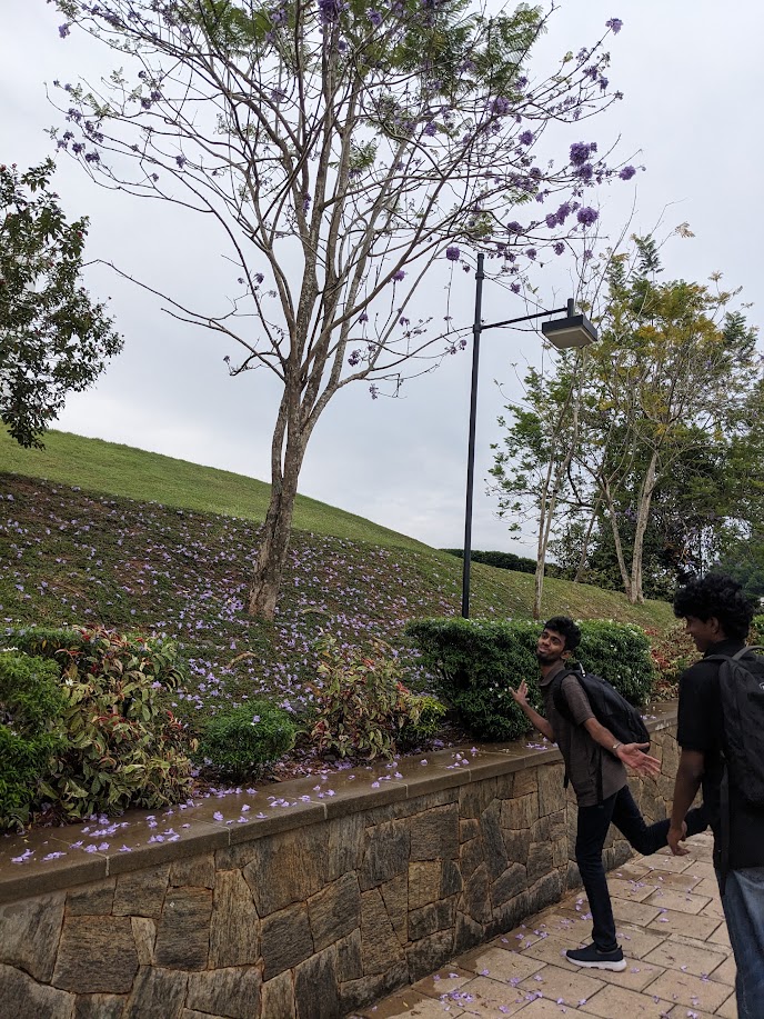 Portrait of Cherry Ravindu at NSBM